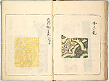 Kokon meibutsu rui shū, Vol. 1 (examples of old textile designs), Woodblock-printed book, Japan