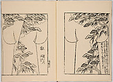 Miyako hinagata, Vol. 1 (kosode patterns from the imperial capital), Woodblock-printed book, Japan