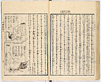 Gareki zakko, Vol. 1 (notes on miscellaneous rubble), Woodblock-printed book, Japan