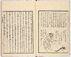 Gareki zakko, Vol. 2 (notes on miscellaneous rubble), Woodblock-printed book, Japan