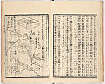 Gareki zakko, Vol. 2 (notes on miscellaneous rubble), Woodblock-printed book, Japan