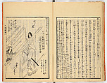 Gareki zakko, Vol. 1 (notes on miscellaneous rubble), Woodblock-printed book, Japan