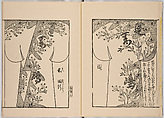 Miyako hinagata, Vol. 2 (kosode patterns from the imperial capital), Woodblock-printed book, Japan