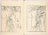 Miyako hinagata, Vol. 5 (kosode patterns from the imperial capital), Woodblock-printed book, Japan