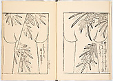 Miyako hinagata, Vol. 5 (kosode patterns from the imperial capital), Woodblock-printed book, Japan