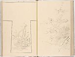 Hinagata chō (Model Book), Unidentified artist, Ink on paper, Japan