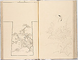 Hinagata chō (Model Book), Unidentified artist, Ink on paper, Japan