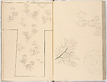 Hinagata chō (Model Book), Unidentified artist, Ink on paper, Japan