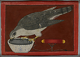 Goshawk Drinking, Opaque watercolor with gold and silver on paper, India, Himachal Pradesh, Mandi