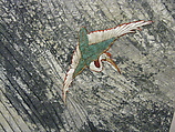 Life's Symphony (Kyoku), Maio Motoko (Japanese, born Tokyo, 1948), Pair of six-panel folding screens; crushed paper, ink, white pigment (gofun), gold leaf, and silk on paper, Japan