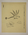 New Classic of Mountains and Seas I, Qiu Anxiong (Chinese, born 1972), Portfolio of twelve woodblock prints; ink on paper, China