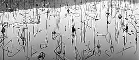 Xi Hu, Hangzhou, China (Triangle Lotus)
, Lois Conner American, Pigment ink print