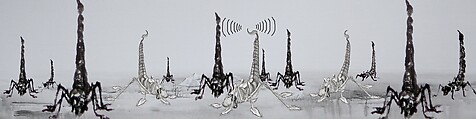 New Classic of Mountains and Seas I, Qiu Anxiong (Chinese, born 1972), Three-channel animated video with sound; 30 min., China