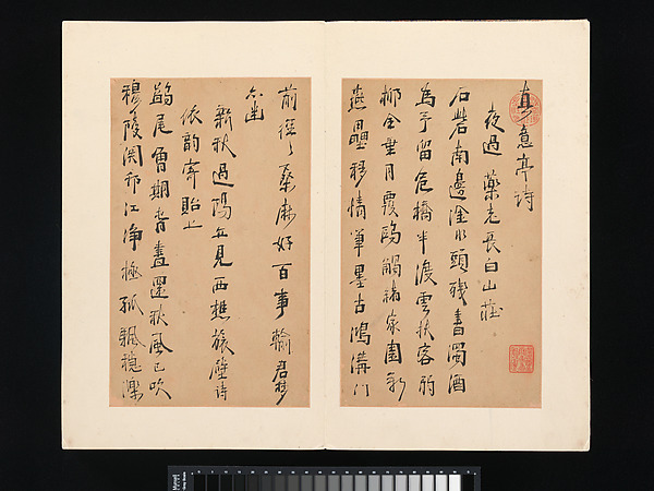 Poems from the Pavilion of True Meaning from The Metropolitan Museum of Art open-access collection