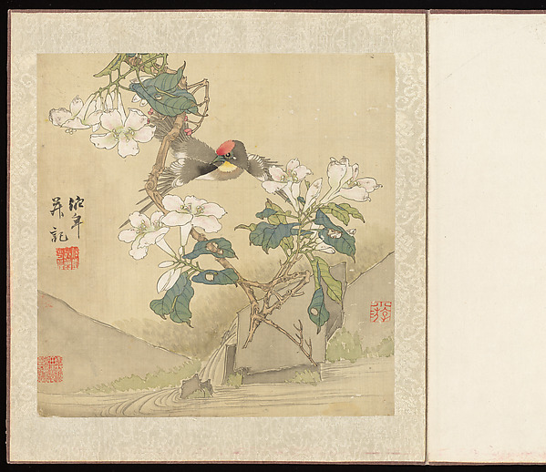 清任薰海棠小鳥扇面|Bird on a Rock by a Flowering Branch