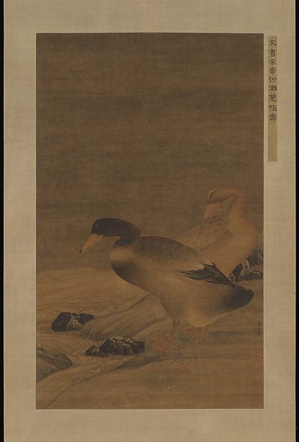 Pair of Mallard Ducks on Sandy Beach