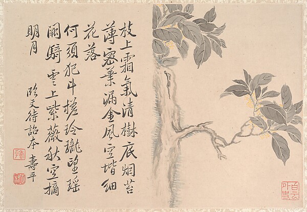 清　仿惲壽平　桂花圖　冊頁|Cassia Tree