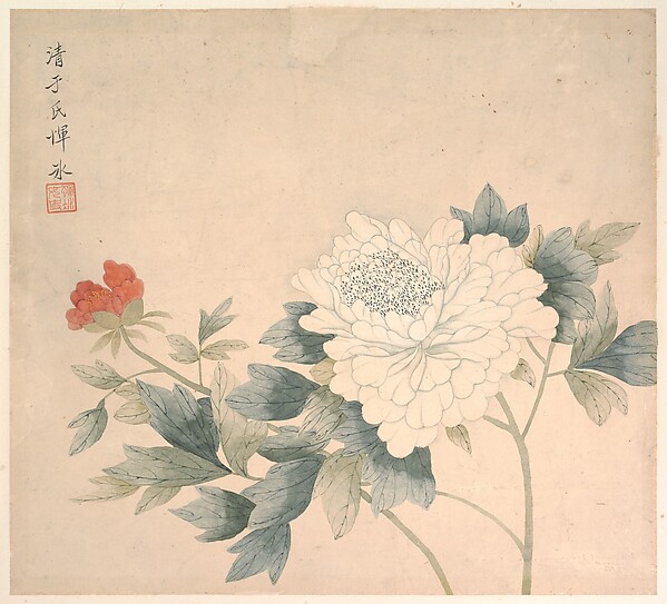 清   惲冰   花卉圖   册页|Flower Study