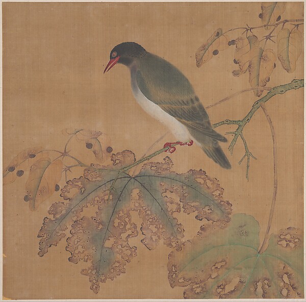 清   佚名   秋葉山禽   冊頁|Bird on Branch