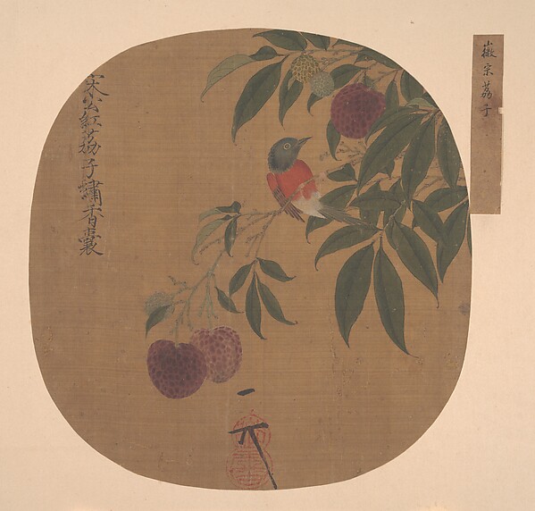 明  佚名（舊傳宋徽宗） 荔枝圖  冊頁|Bird on a Lychee Branch
