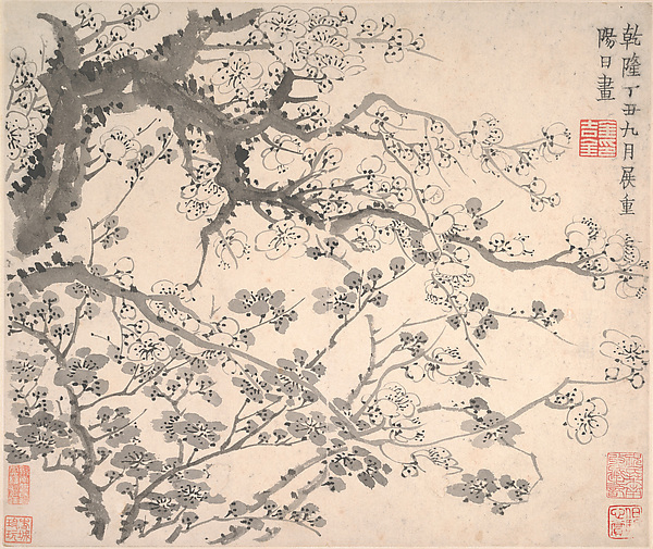 清    金農    墨梅圖    冊|Plum blossoms