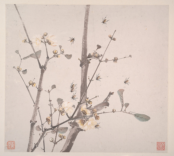 清　居廉　花卉蟲草　冊頁　八開|Insects and Flowers