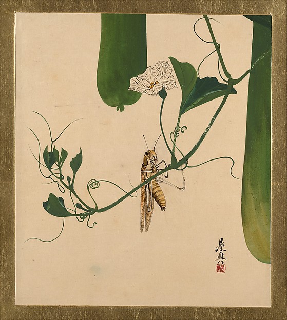 Î‘Ï€Î¿Ï„Î­Î»ÎµÏƒÎ¼Î± ÎµÎ¹ÎºÏŒÎ½Î±Ï‚ Î³Î¹Î± grasshopper  painting