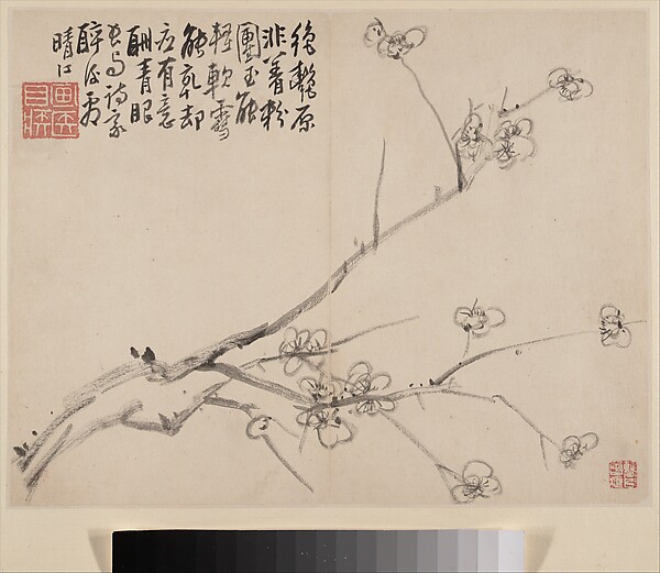 清   李方膺   墨梅圖   冊|Album of Blossoming Plum