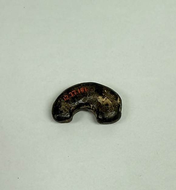 Tiger Claw Jewel