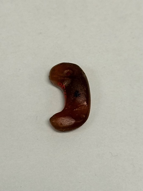 Tiger Claw Jewel by an unrecorded maker, The Metropolitan Museum of Art