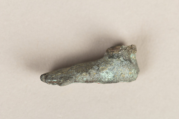 Fragment of a Foot