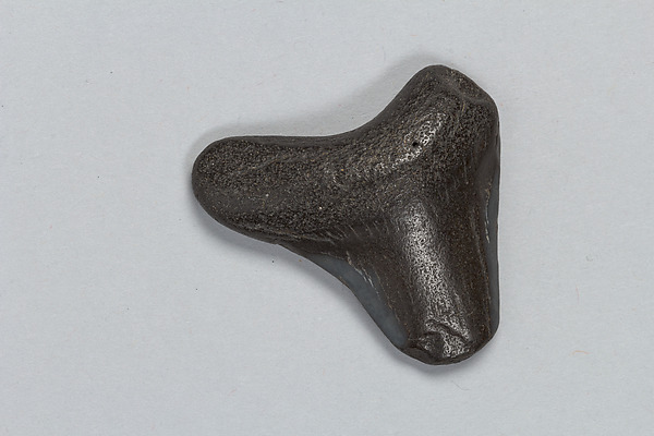 Oracle bone
