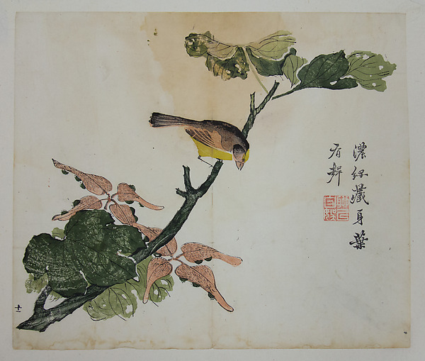 芥子園畫傳|Seeds and Aleurities Cordata (?): Page from The Mustard Seed Garden Manual of Painting (Jieziyuan huazhuan)