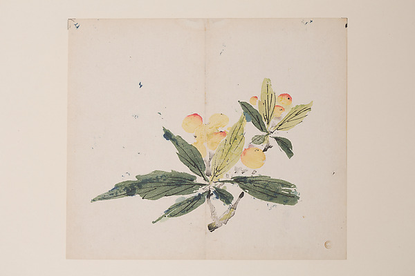 明　胡正言　《十竹齋書畫譜》　四開　木版畫|Page from the Ten Bamboo Studio Manual of Painting and Calligraphy
