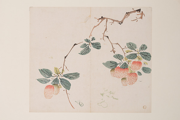 明　胡正言　《十竹齋書畫譜》　四開　木版畫|Page from the Ten Bamboo Studio Manual of Painting and Calligraphy
