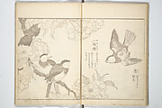 Kitao Shigemasa | Two Women Feeding Fish | Japan | Edo period (1615 ...