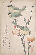 MET-DP138936・・俊満「☆　鳥合」