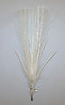 Aigrette, feathers, American or European