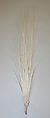 Aigrette, feathers, American or European