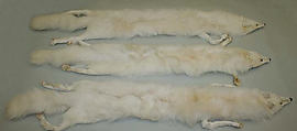 Stole, fur (fox), American