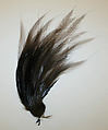 Aigrette, feathers, French