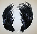 Aigrette, feathers, American or European