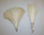 Aigrette, feathers, American or European