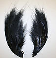 Aigrette, feathers, American or European