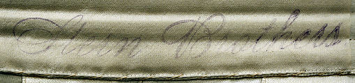 Corset, Stern Brothers (American, founded New York, 1867), silk, cotton, metal, American