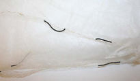 Wedding ensemble, silk, leather, cotton, American