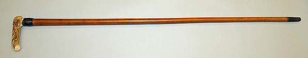 Cane, wood, ivory, metal, American or European