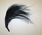 Aigrette, feathers, American or European