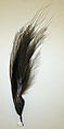Aigrette, feathers, American or European