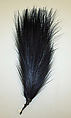 Aigrette, feathers, American or European